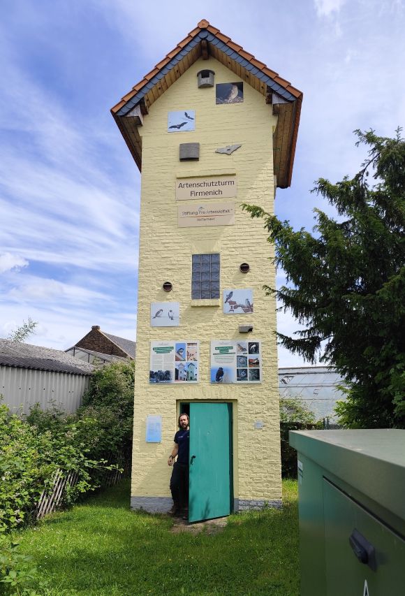 Common Kestrels, Barn Owls, Jackdaws and House Sparrows make use of our species conservat