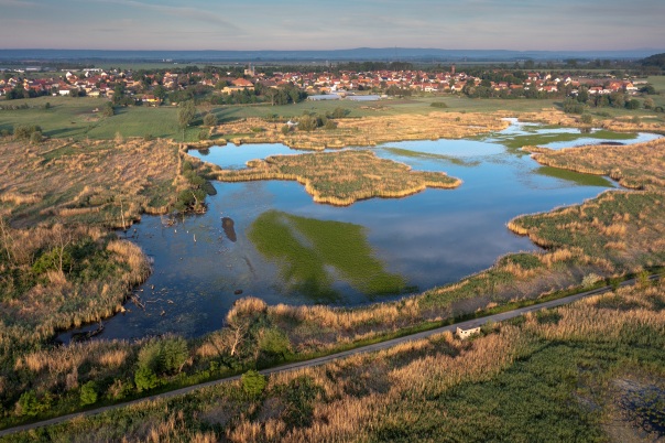 Die Seeländereien bei Frose aus der Vogelperspektive
- ein vielfältiger Feuchtgebietskomplex inmitten der Agrarlandschaft © SPA