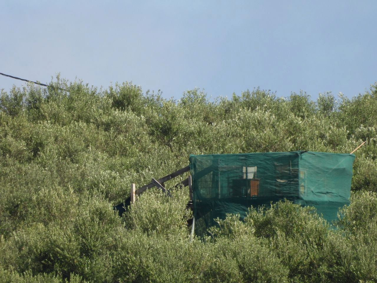 More hunting sites discovered &ndash; but fewer shots fired:
How the illegal spr - Bild 3