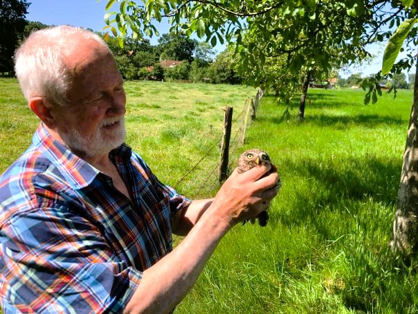Unser Steinkauz-Experte Herbert Wolf präsentiert bei Monitoring-Arbeiten
im Paderborner Land einen jungen Steinkauz © SPA