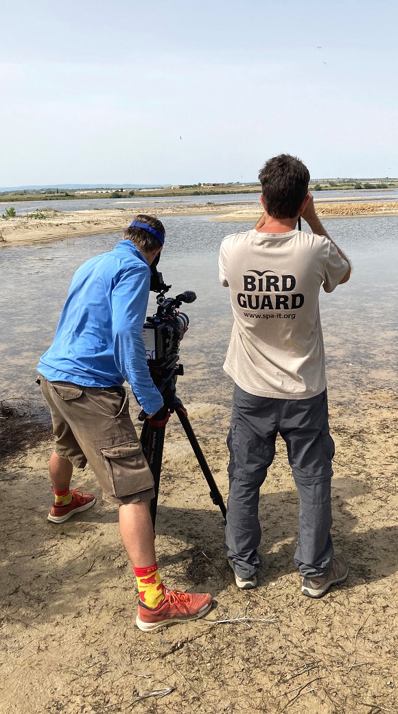 This year, the French/German TV programme ARTE and the German re