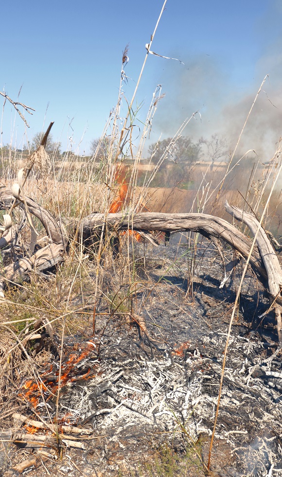 In addition to the months of drought in Sicily, thousands of 