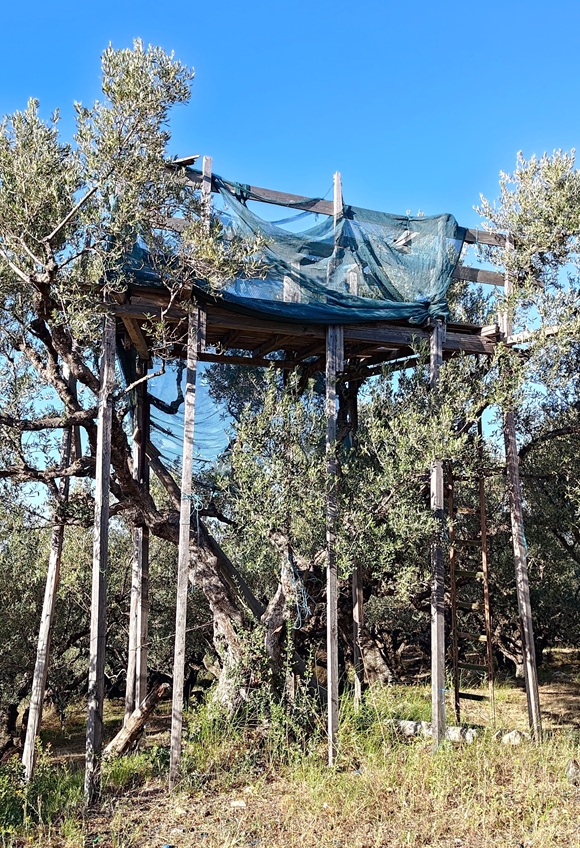 Zakynthos (Ionian Islands / Greece) Spring Bird Protection Ca