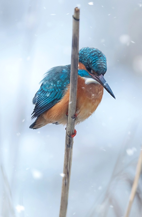 We extend our heartfelt Christmas and New Year wishes, along 