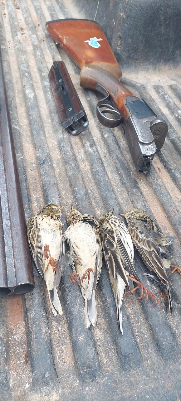 1st report and results of the Cyprus Winter Bird Protection Camp