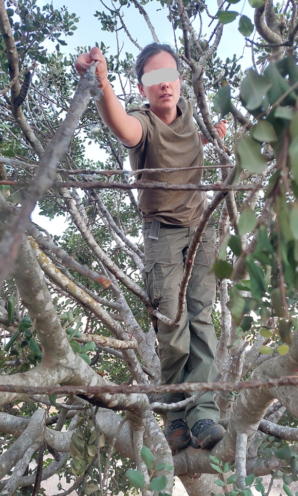 2nd Cyprus Bird Protection Camp Report 2025