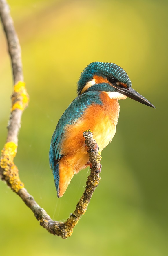 Experiencing the biotope and biodiversity alone and undisturbed 