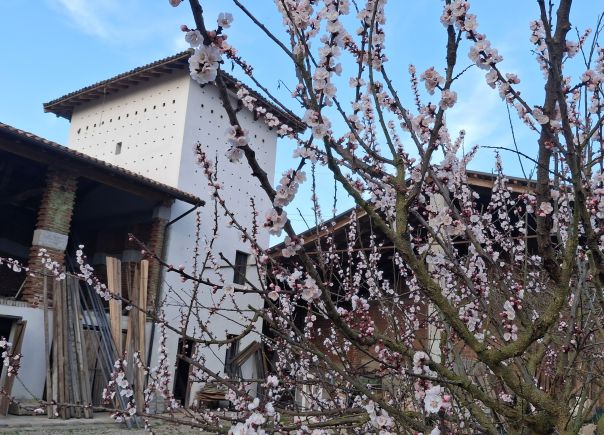 Borgolavezzaro Italien - Bauernhaus mit Artenschutzturm © SPA
