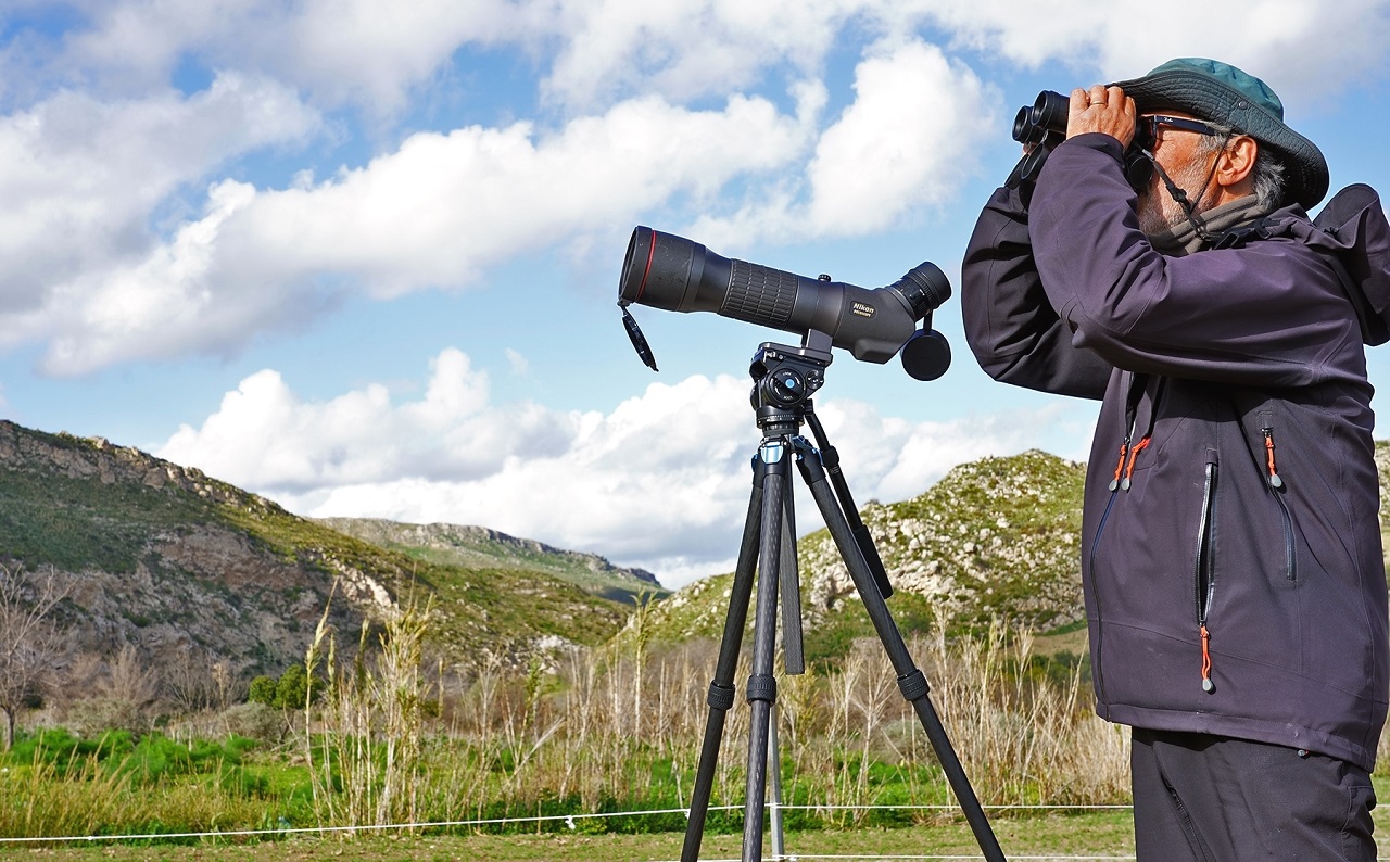 This year's Bonelli's Eagle and Lanner Falcon raptor co - Bild 2