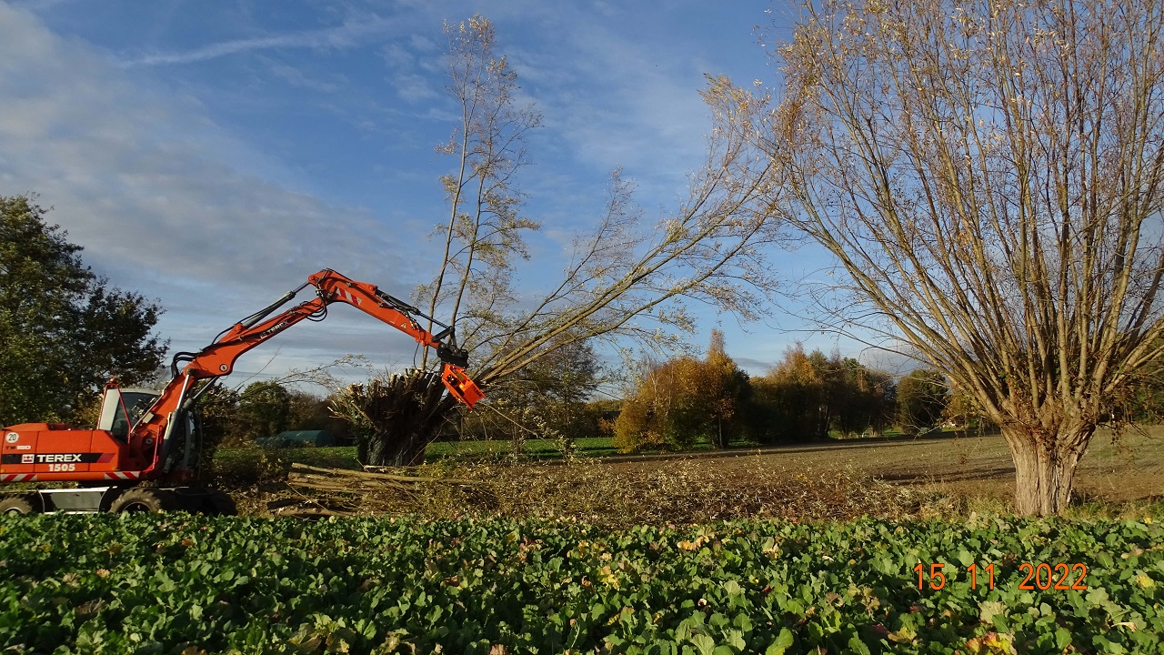 The sustainable conservation and creation of new future breedin - Bild 2