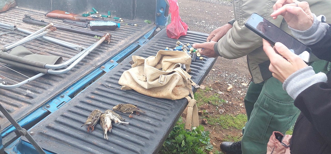 1st report and results of the Cyprus Winter Bird Protection Ca - Bild 3