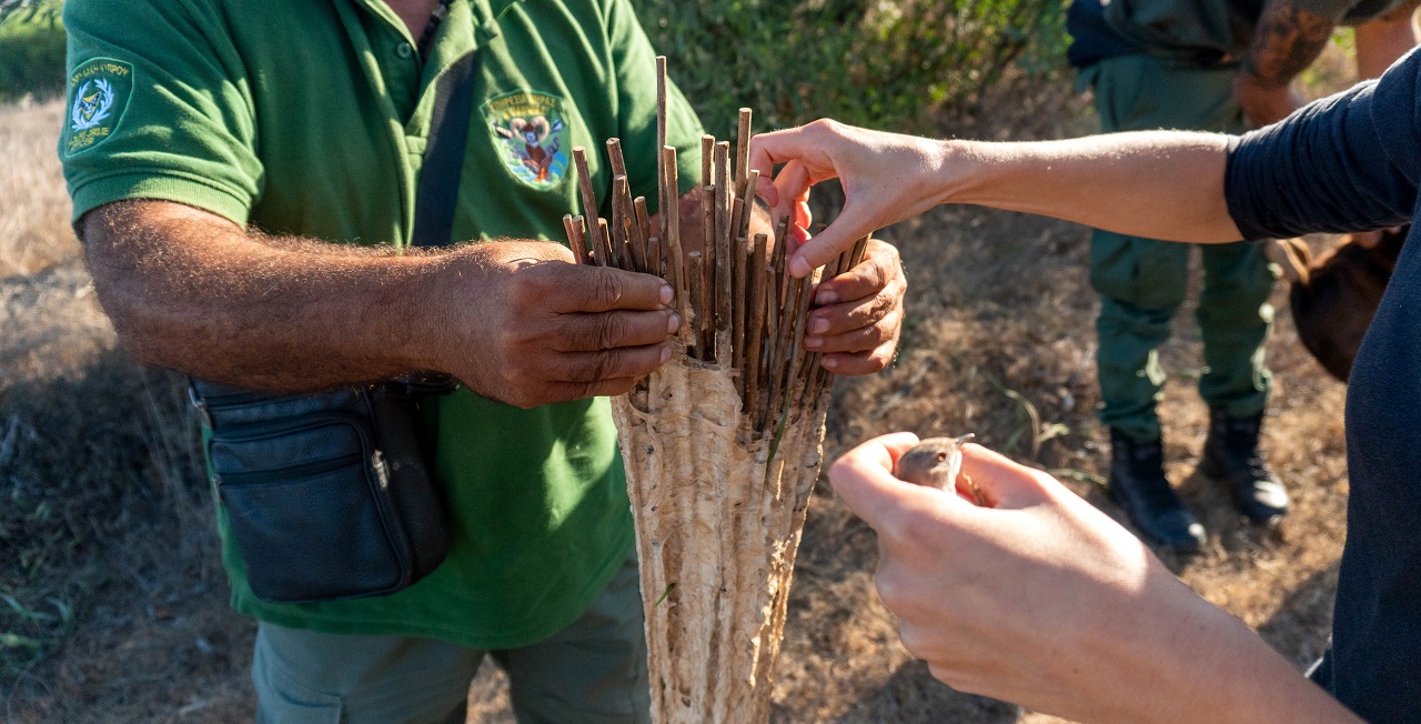 First Cyprus Autumn Bird Protection Camp Report 2022 - Bild 3