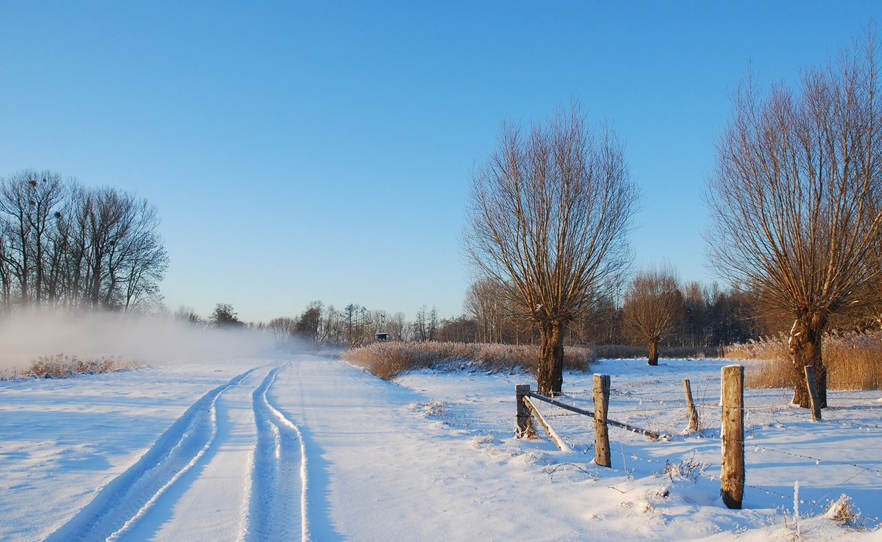 We extend our heartfelt Christmas and New Year wishes, alon - Bild 3