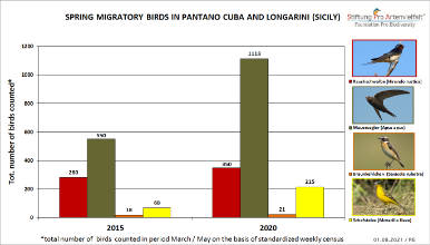 Pantano Cuba Migratory Birds Resting