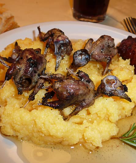 Sardinien-Menue-mit-gebratenen-Rotkehlchen