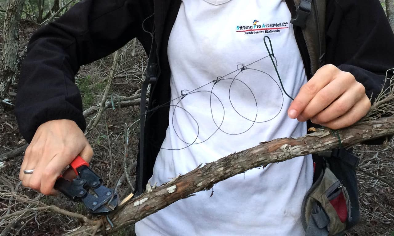 Sardinien-Zerstoerung-Baumschlingenfalle