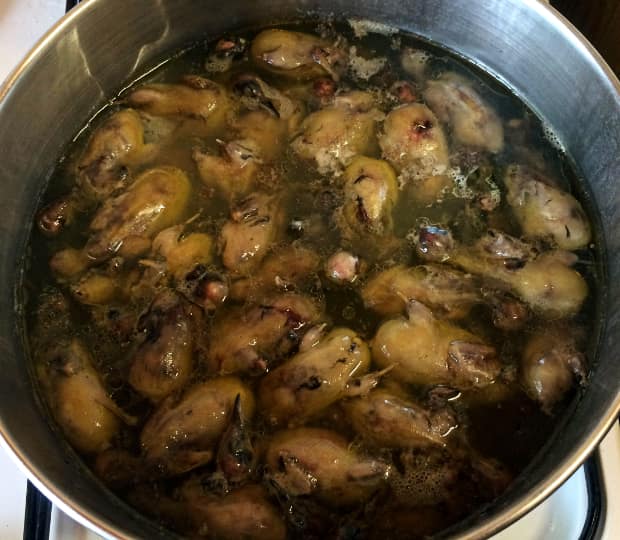 Zypern-Kochtopf-mit-Moenchsgrasmuecken