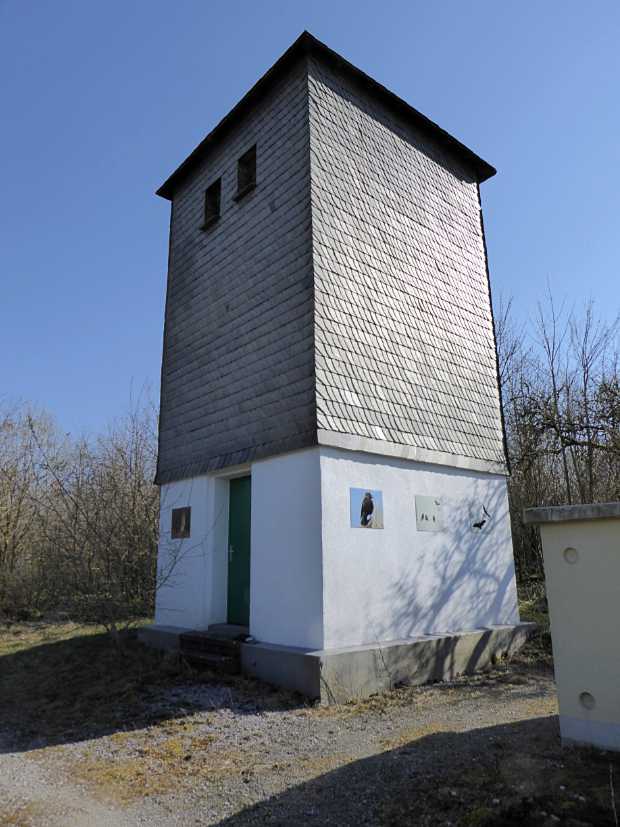 artenschutzgebaeude-brilon-madfeld-1b