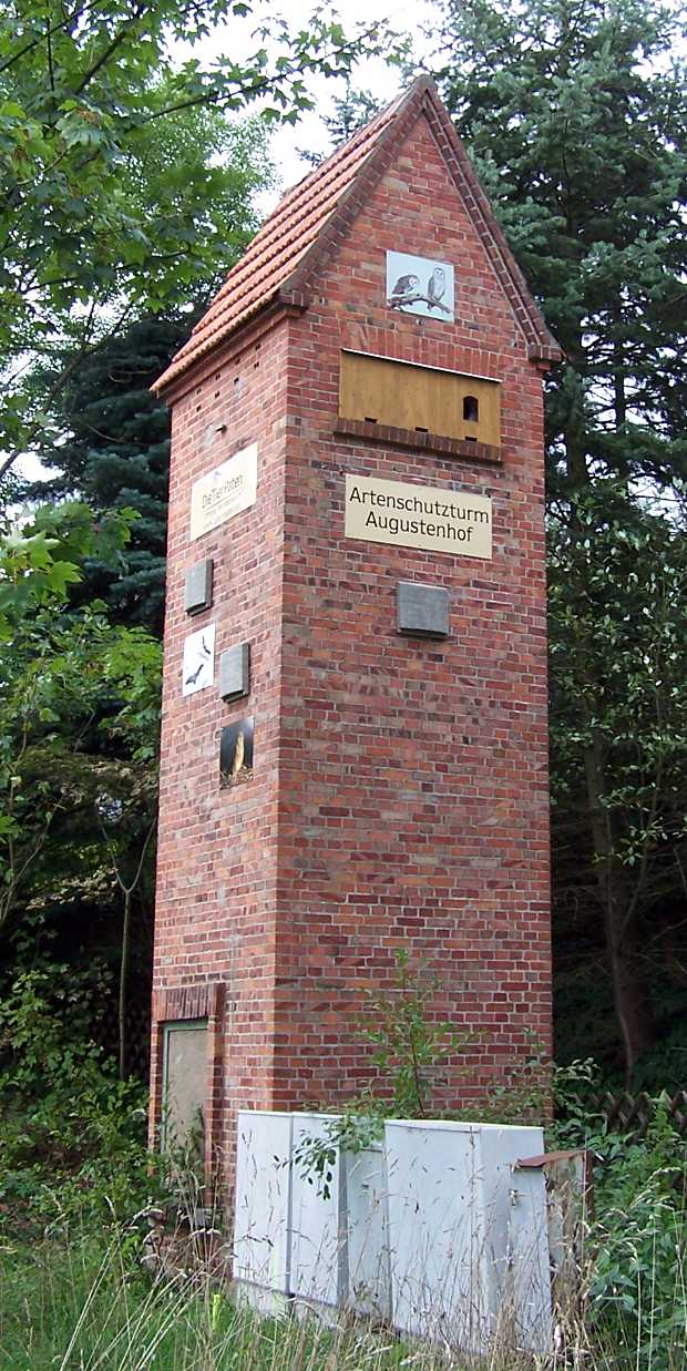 artenschutzgebaeude-crivitz-augustenhof-1b