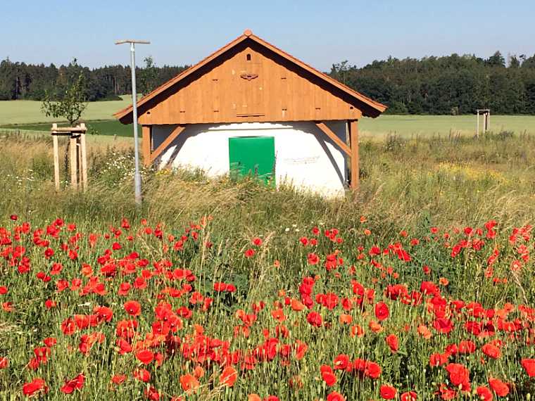 artenschutzgebaeude-doertendorf-2b