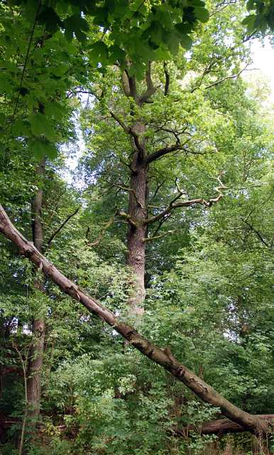 landkaeufe-altenburger-land-2b