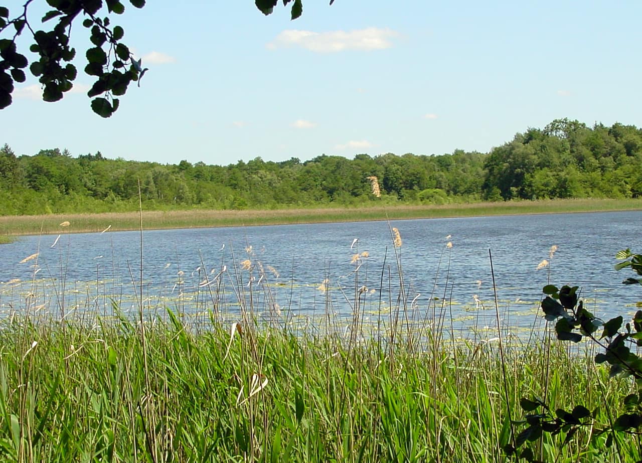 landkaeufe-cossensee-1