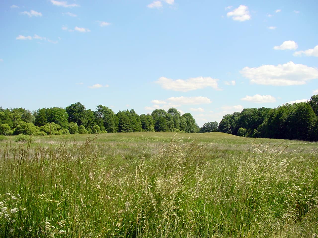 landkaeufe-cossensee-2