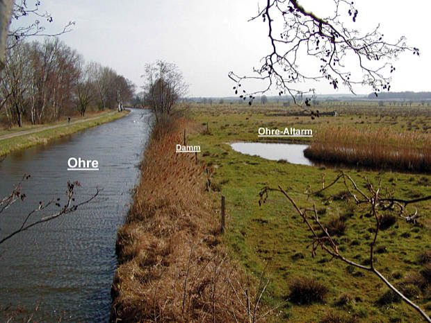 landkaeufe-droemling-3a