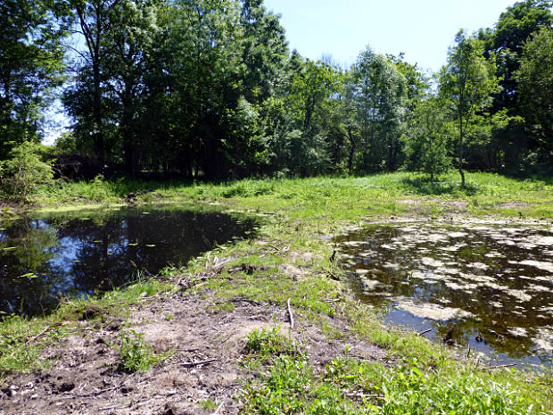 landkaeufe-droemling-6a