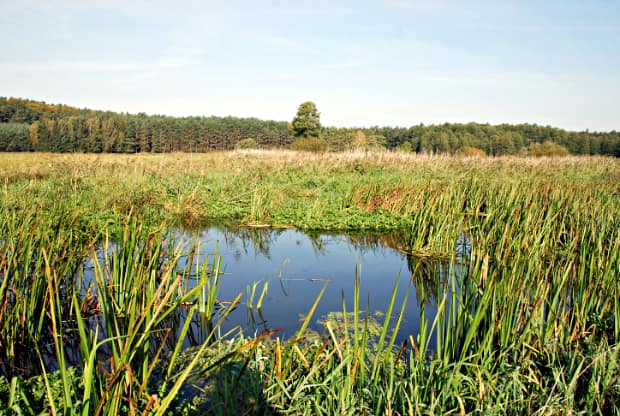 landkaeufe-finowtal-3