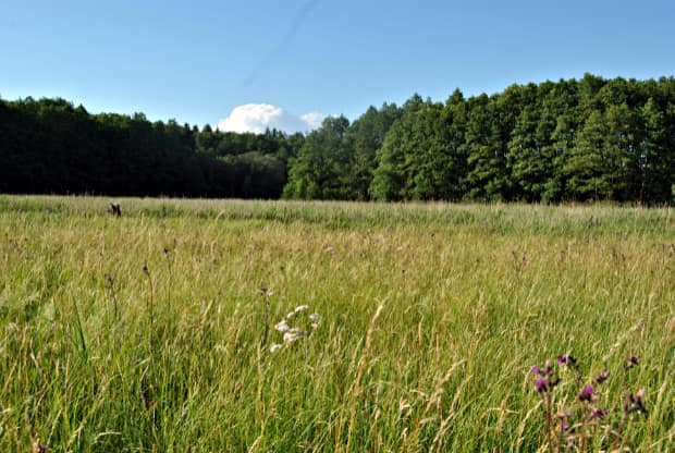 landkaeufe-finowtal-4