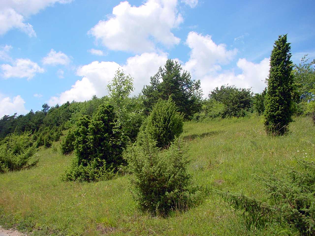 landkaeufe-henfstaedt-2