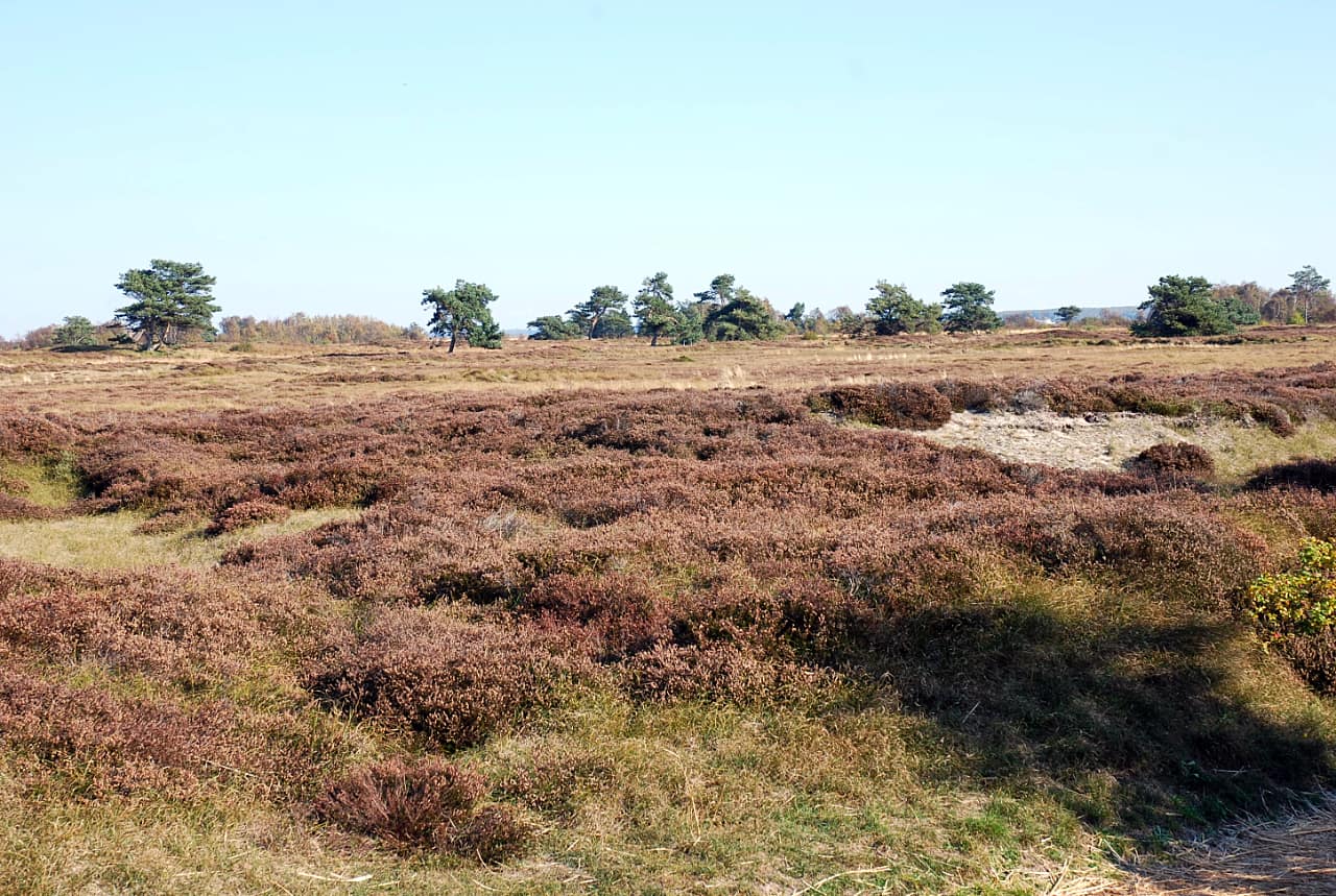 landkaeufe-hiddensee-1