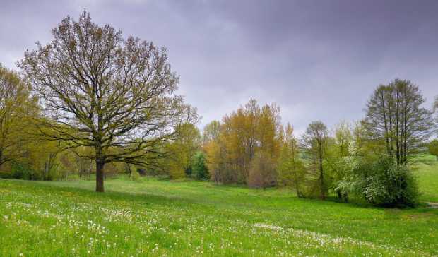 View of the Hirschgrund valley (© F. Leo) and the grassland slopes to the east (© SPA)