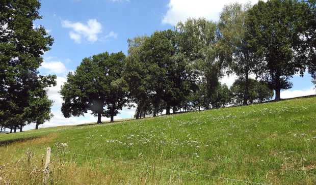 View of the Hirschgrund valley (© F. Leo) and the grassland slopes to the east (© SPA)