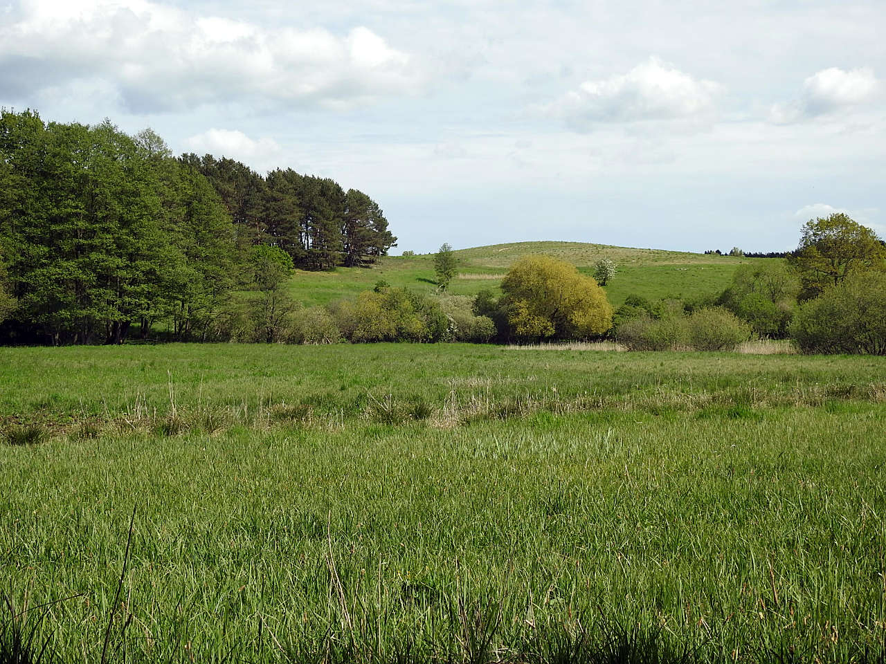 landkaeufe-juelchendorfer-trockenhaenge-1