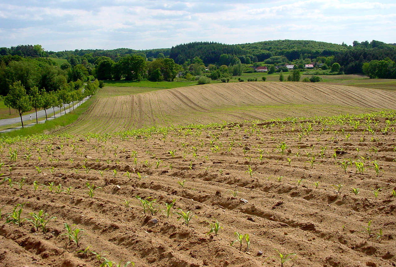 landkaeufe-juelchendorfer-trockenhaenge-2