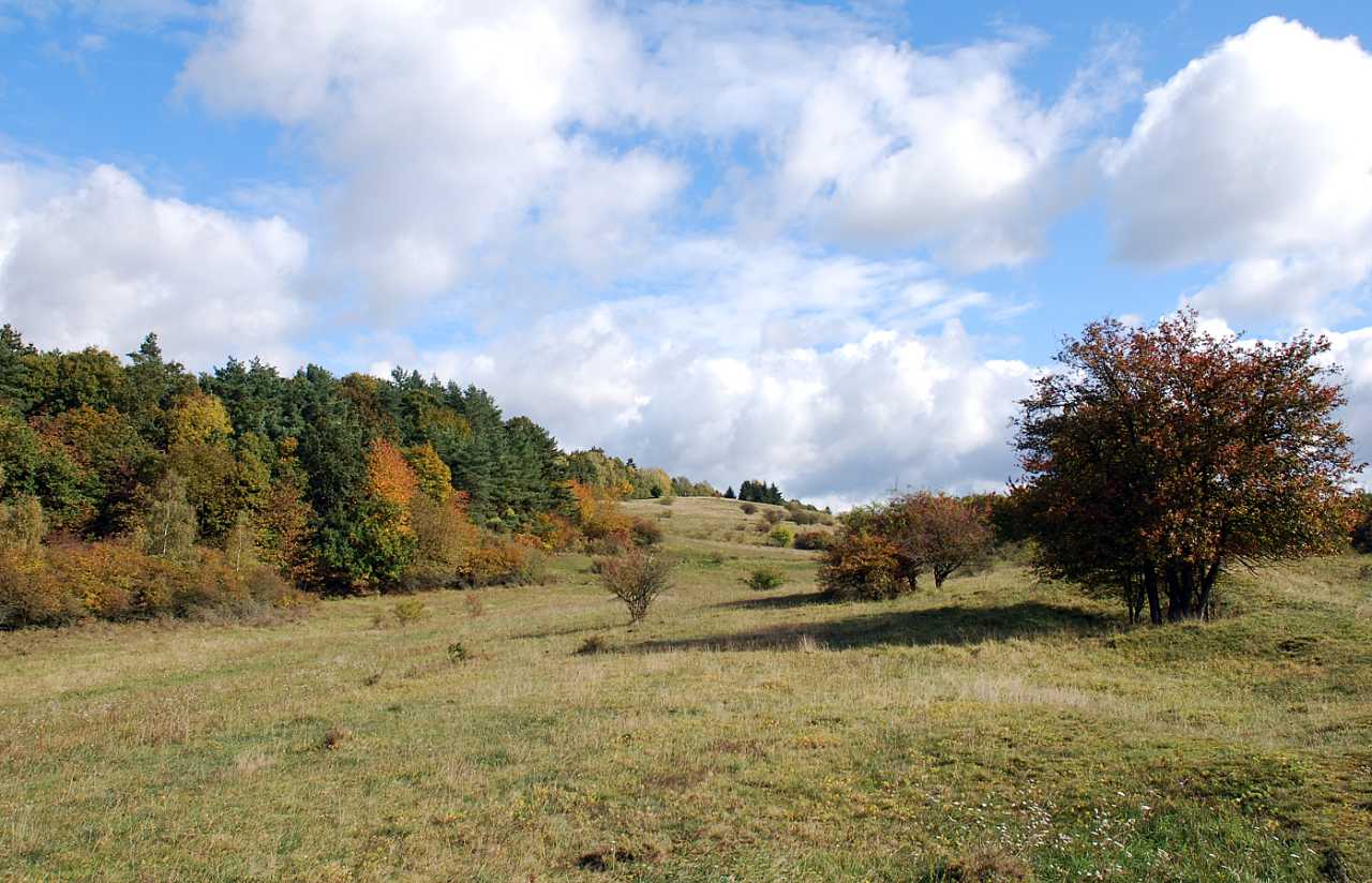 landkaeufe-nordhausen-1