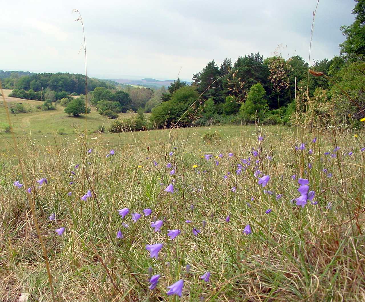 landkaeufe-nordhausen-2