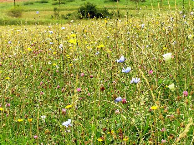 landkaeufe-nordhausen-4b