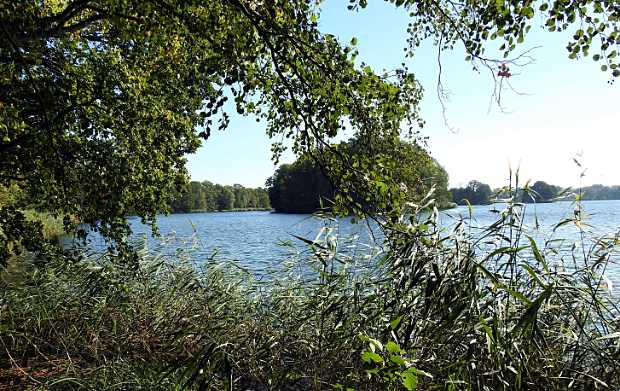 landkaeufe-obersdorfer-vorder--und-hintersee-1a