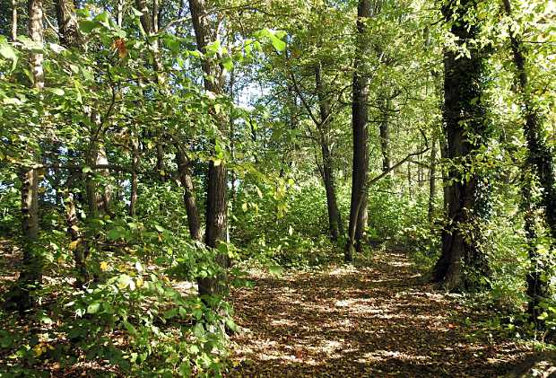 landkaeufe-obersdorfer-vorder--und-hintersee-2a