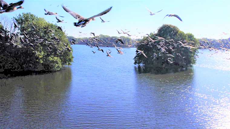 landkaeufe-obersdorfer-vorder--und-hintersee-4a