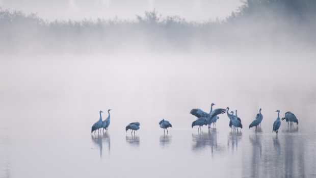 landkaeufe-obersdorfer-vorder--und-hintersee-4c