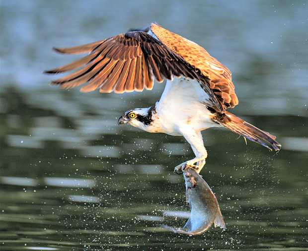 landkaeufe-obersdorfer-vorder--und-hintersee-7b