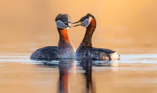 landkaeufe-obersdorfer-vorder--und-hintersee-7d