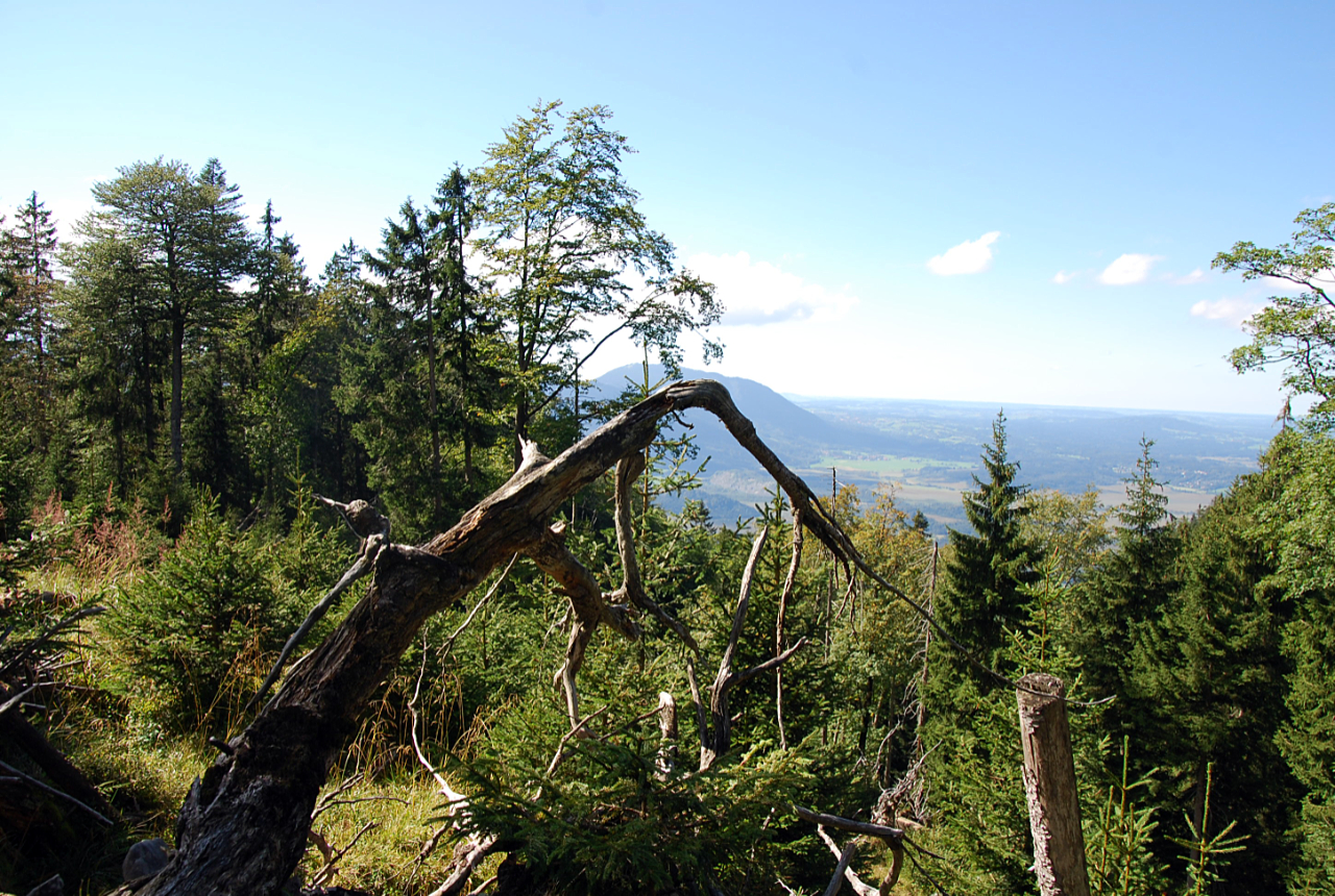 landkaeufe-ohlstadt-bei-murnau-2