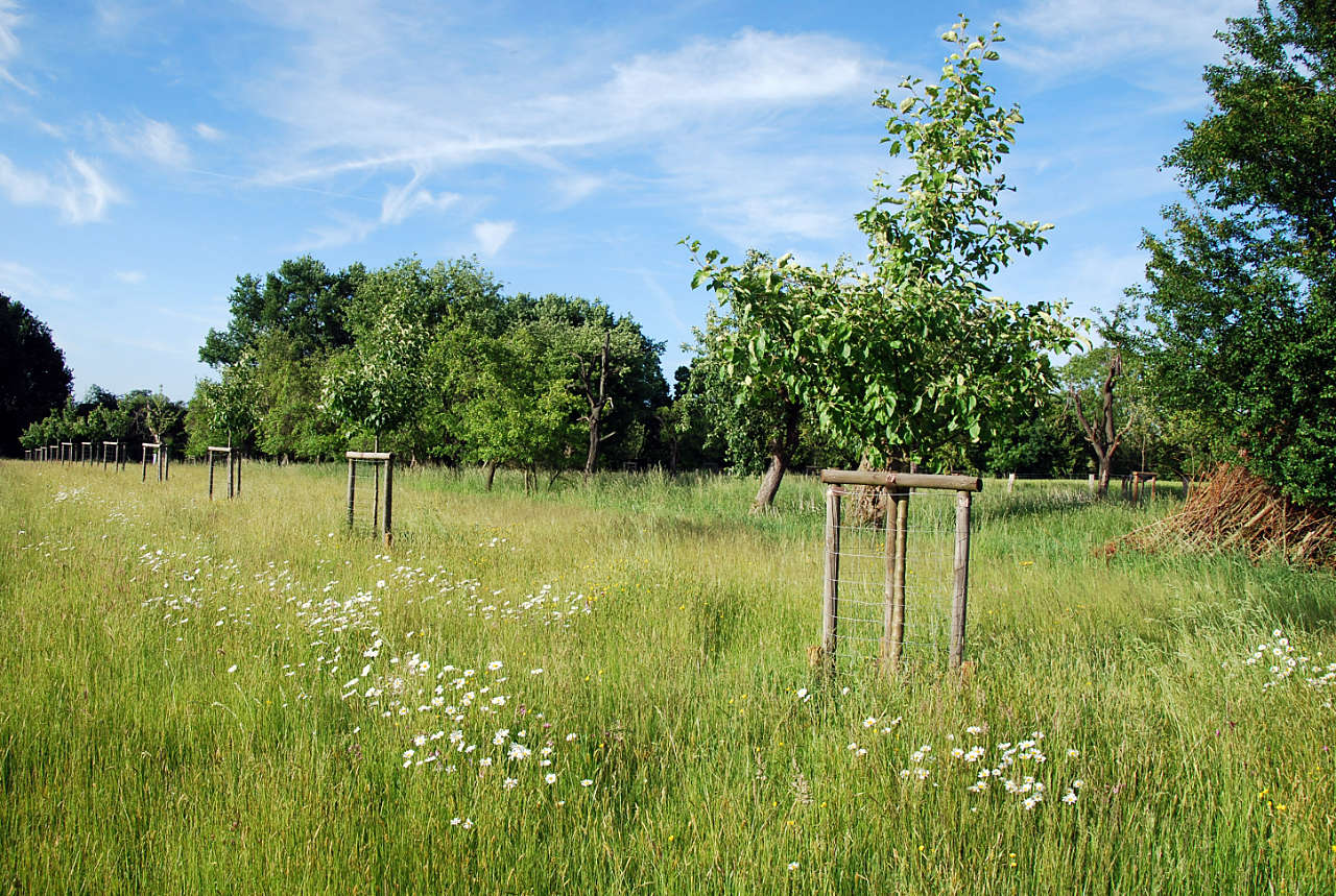 landkaeufe-paderborner-land-2