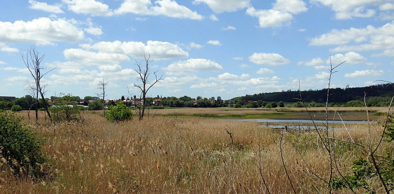 landkaeufe-seelaendereien-bei-frose-2