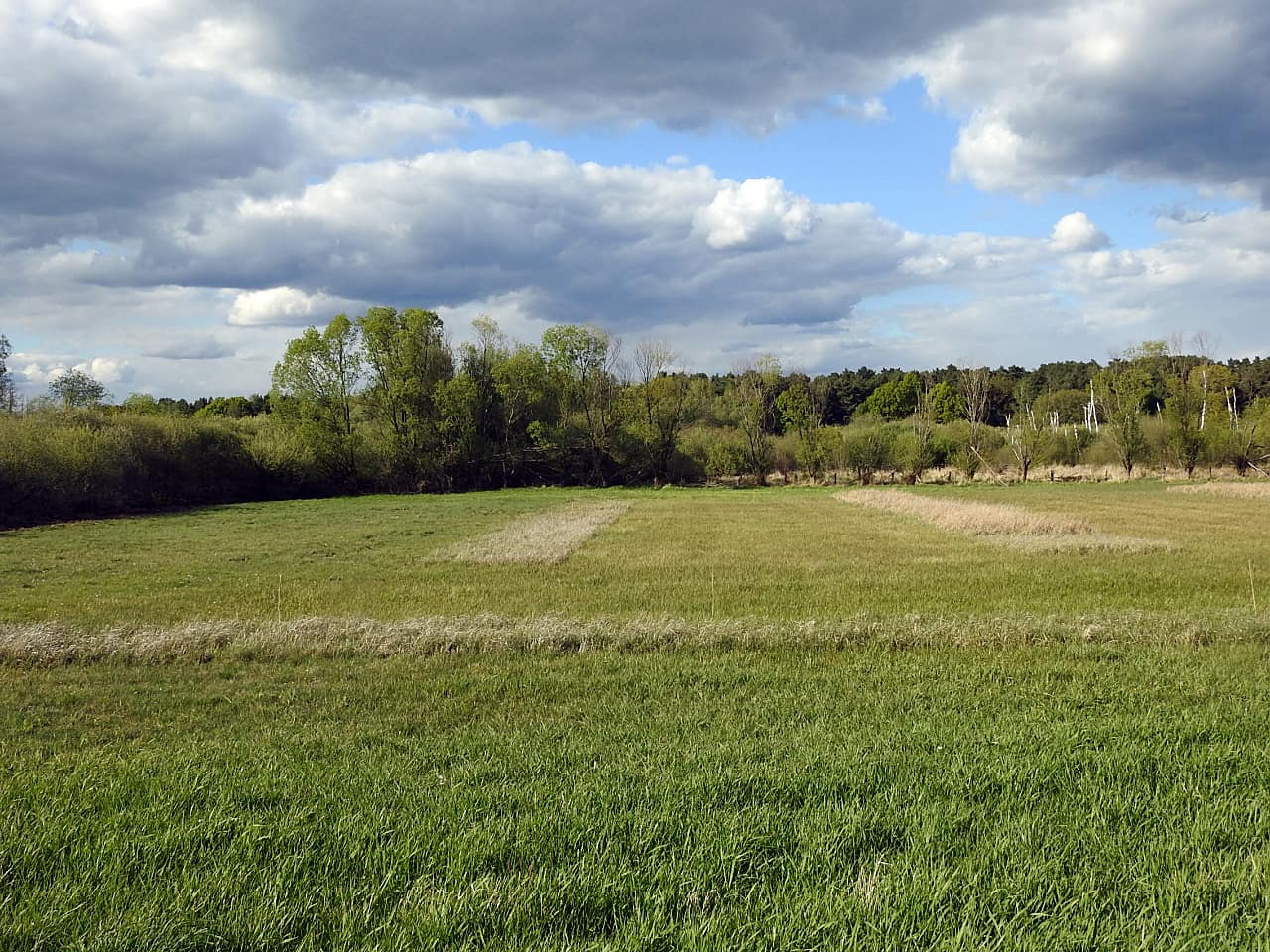 landkaeufe-torfstich-klosterfelde-3